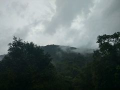 -莫里热带雨林景区