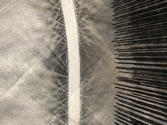 -张之洞与武汉博物馆