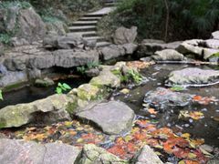 -南山风景名胜区