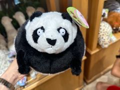 -广州长隆国际大马戏