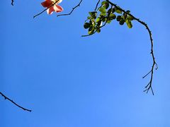 -小草屋轰趴馆别墅派对新场团建家庭聚会