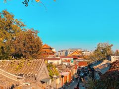 -Sirena海妖日咖夜酒