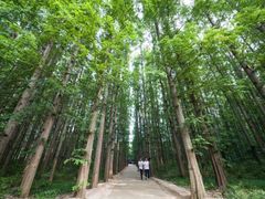 -渡海小渔村.老辈日照菜