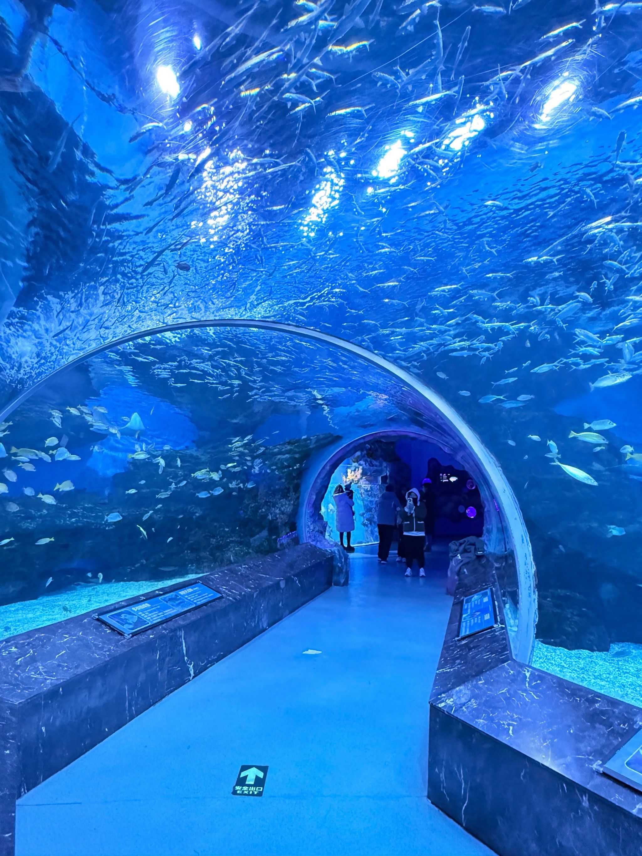 海洋馆就是氛围感之神吧!