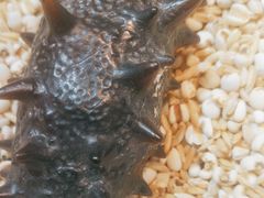 -澜小宴·锦绣江南(金沙滩店)