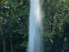 -九龙公园