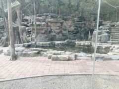 -北宫国家森林公园