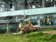 -西霞口神雕山野生动物世界