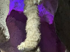 -房山世界地质公园博物馆