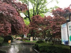 -常州古运河南大街文化旅游区-人民公园