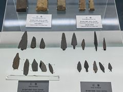 -衢州市博物馆