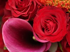 -格蕾花坊(民盈·国贸城店)