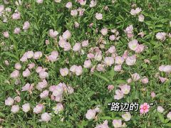 -原乡小镇度假乐园