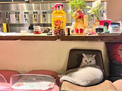 -后院儿·精酿·塔罗Happy Bar