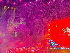 -广州长隆国际大马戏