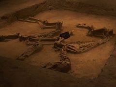 -洛阳周王城天子驾六博物馆