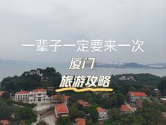 -野草莓自由市场