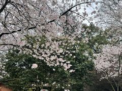 -杭州少年儿童公园