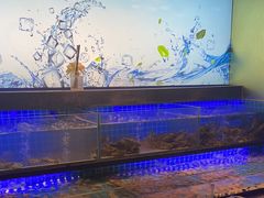 -透明思烤·自助烤肉海鲜火锅(东部星悦天地店)