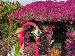 -东莞植物园