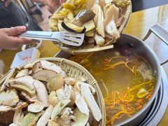 -菌极鲜野生菌火锅店(阳明祠店)