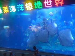 -蓬莱欧乐堡海洋极地世界