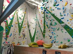 -绿壁虎攀岩基地(Tcar店)