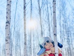 -乌兰布统景区-白桦林