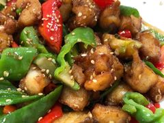 -煲来饱去冷水鱼