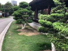 -花溪公园