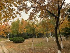 -济南国际园博园