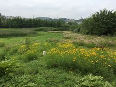 -贵阳市花溪国家城市湿地公园