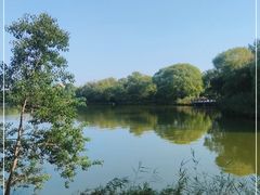 -苏州太湖国家湿地公园