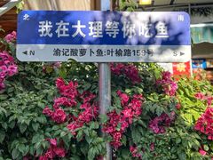 -大理.老字号渝记酸萝卜乌鱼(古城总店)