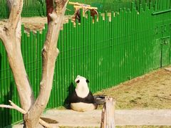 -沈阳森林动物园