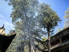 -潭柘寺景区