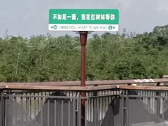 -东寨港红树林旅游区