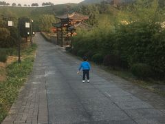 -帐篷客·溪龙茶谷度假酒店