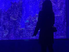 -石家庄海洋公园