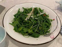 白灼丝瓜尖-渔娘渔家丹东海鲜(东直门店)