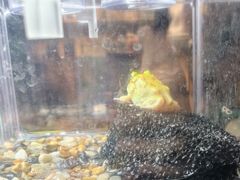 -瑞虹新天地月亮湾
