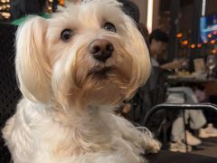 -ibarrel爱杯·bistro&brunch(江宁路店)