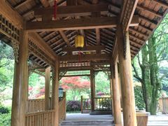 景点-黄山温泉国际旅游度假区