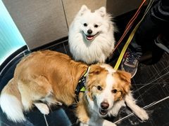 -深圳国际会展中心希尔顿酒店(前海华发冰雪世界店)