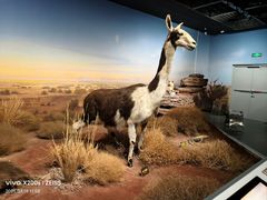 -陕西自然博物馆