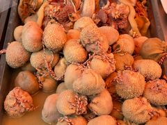 肚包肉-东关回民小吃一条街(颍河西路店)