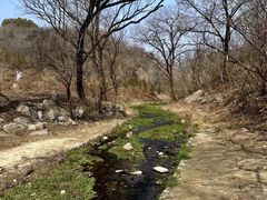 -白水寺森林公园