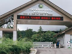 -中国大熊猫保护研究中心雅安碧峰峡基地