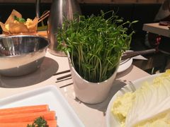 -浩爷羊蝎子火锅(望京店)