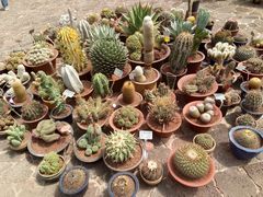 -南通洲际绿博园